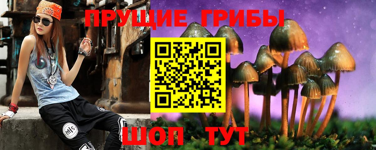 Псилоцибиновые грибы Magic Shrooms  Псилоцибиновые грибы ЛСД  цены наркотик  Вход с VPN  Жигулёвск 